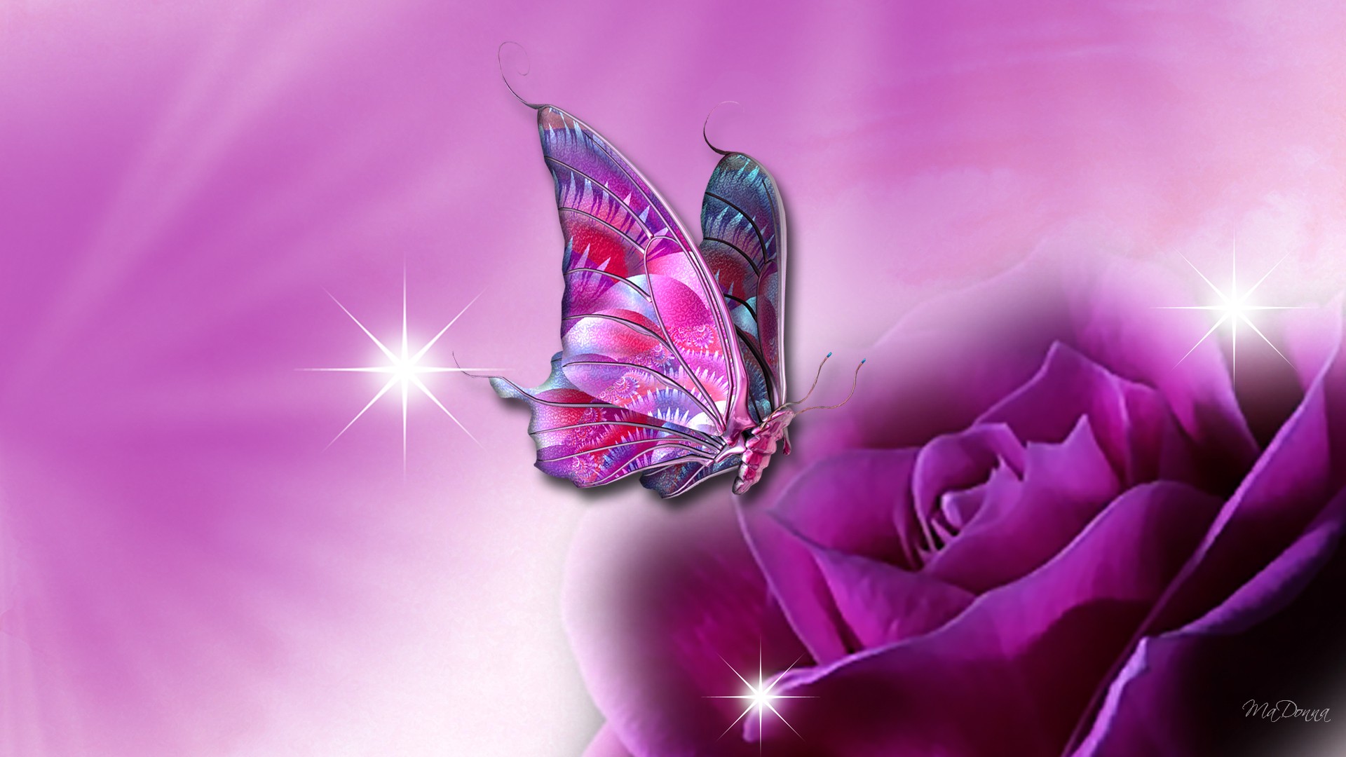 Awesome Butterfly For Laptop Wallpaper Full HD