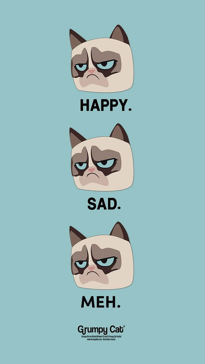 Grumpy Cat Background Wallpaper