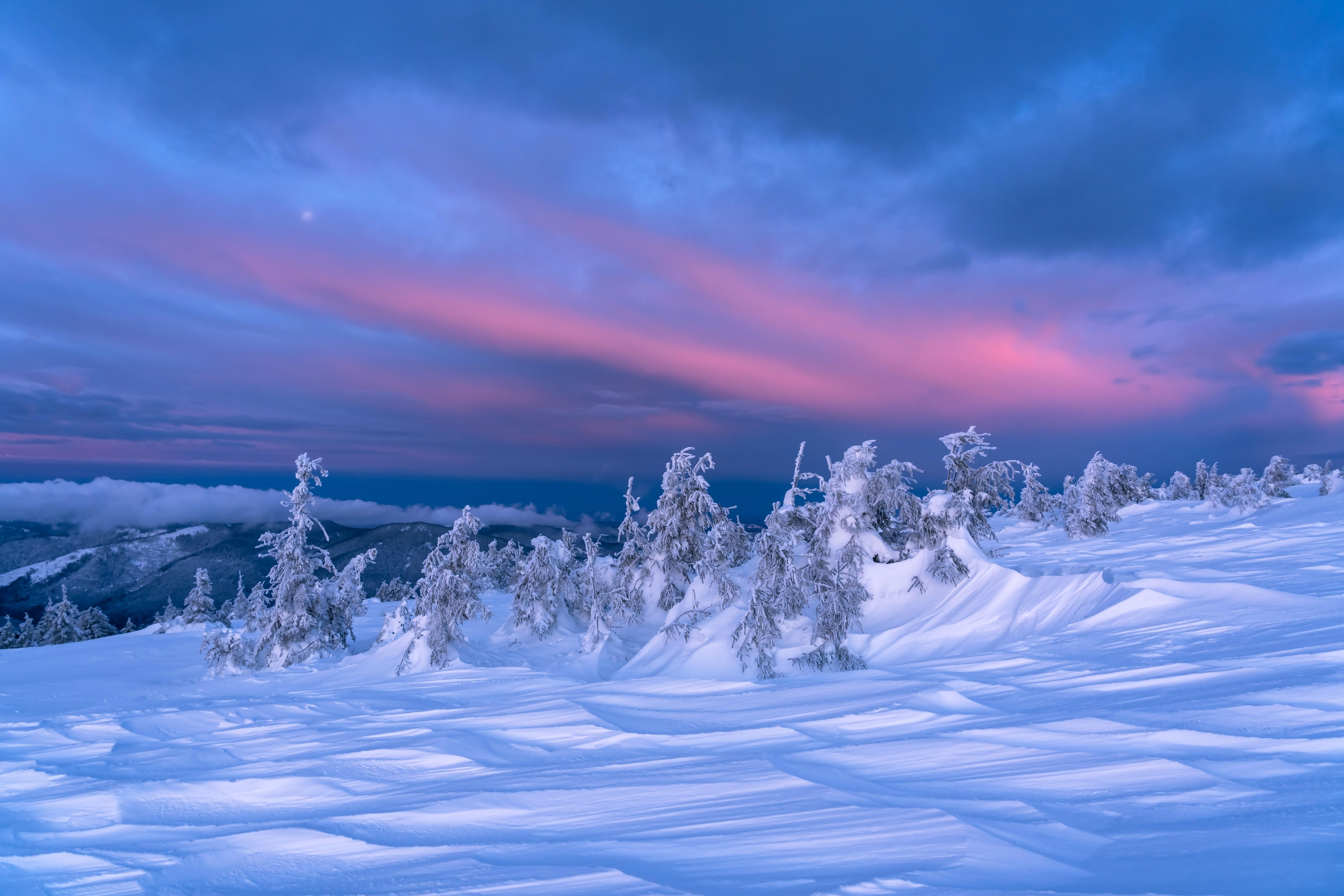 Nature Winter 4k Ultra HD Wallpaper By Daniel Mirlea