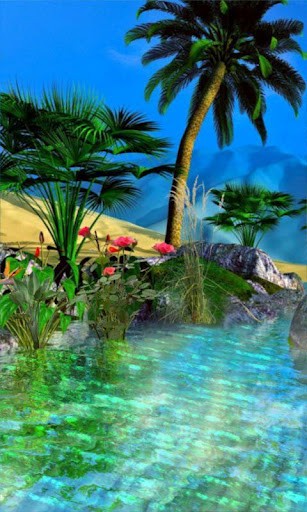 tropical oasis wallpaper