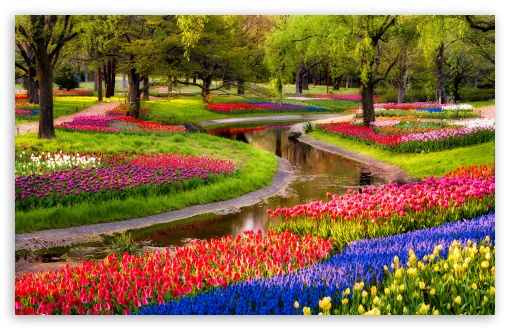Beautiful Spring Garden HD Wallpaper For Standard Fullscreen