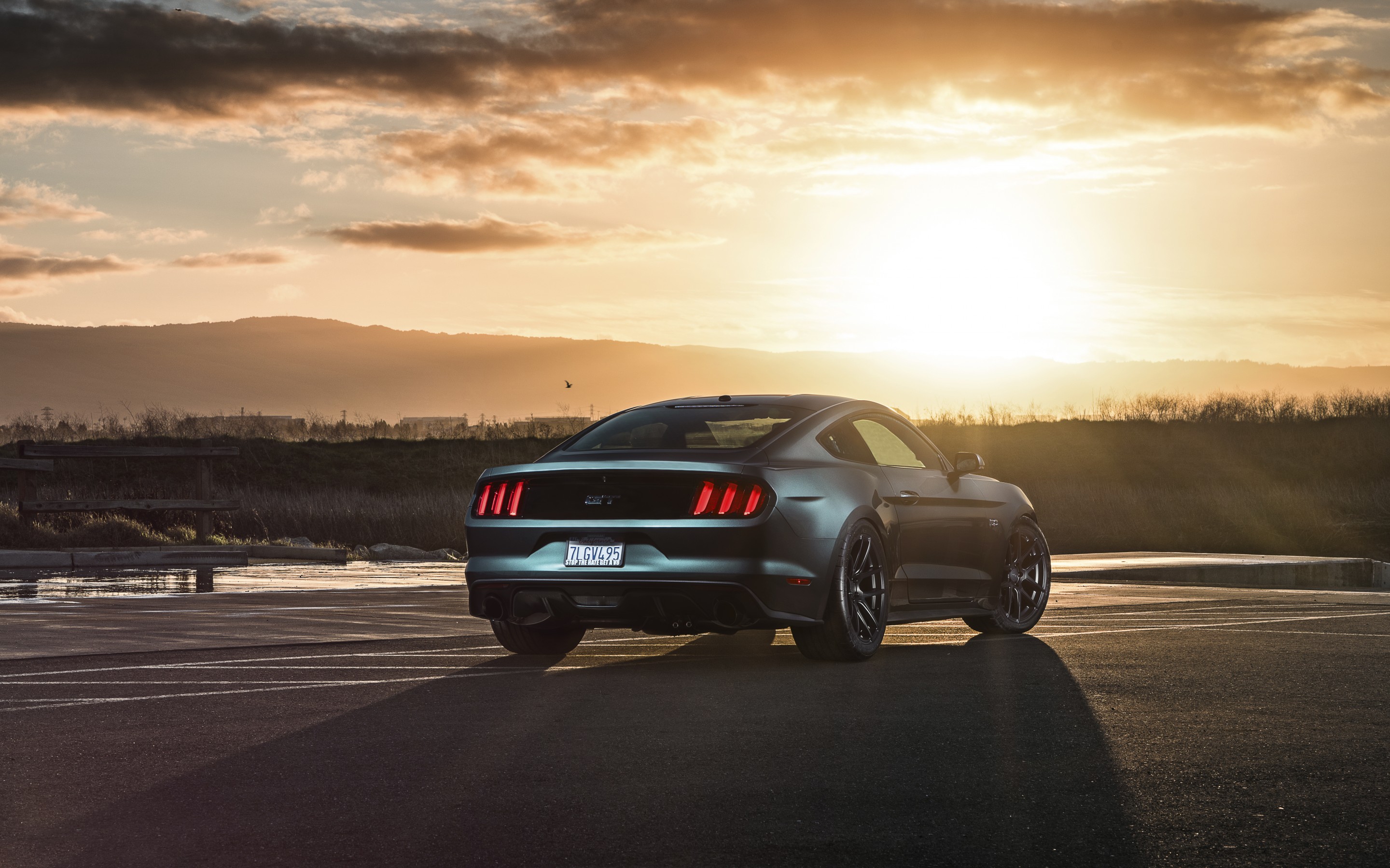 Ford Mustang Gt Stock Photos Image HD Wallpaper