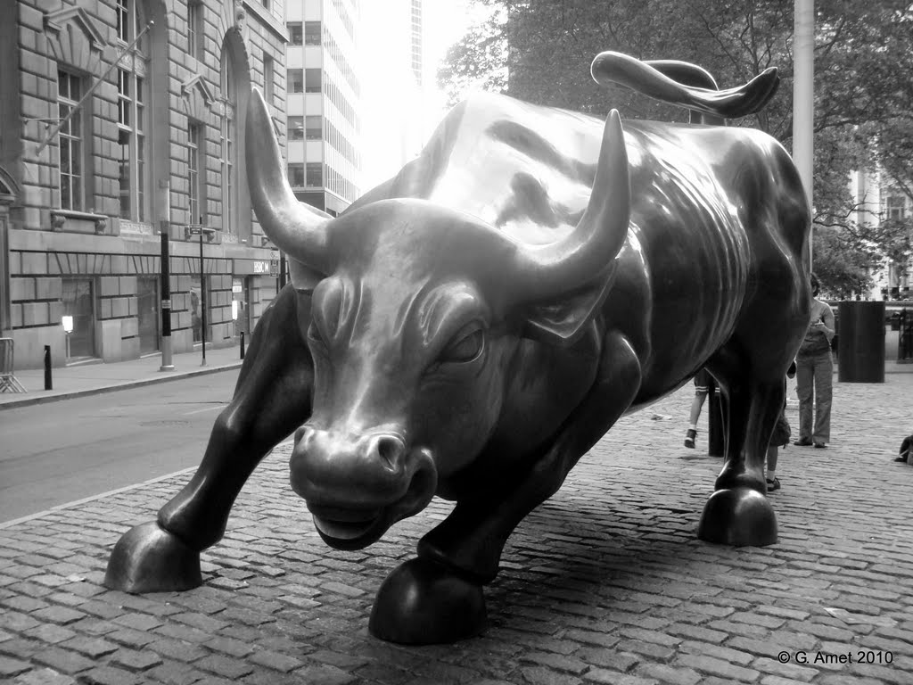 Wall Street Bull Wallpaper De New York