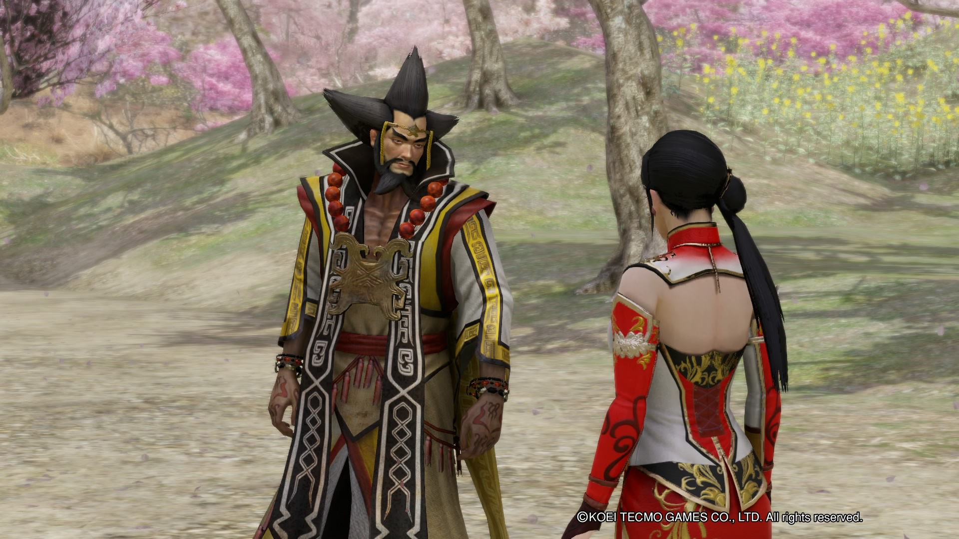 dynasty warrior 8 pc costume mod