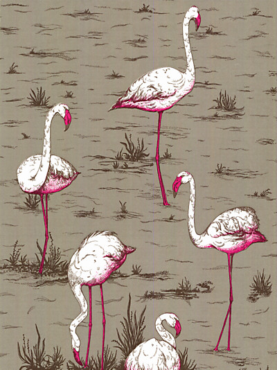 Flamingos Wallpaper Grey Neon Eclectic By John
