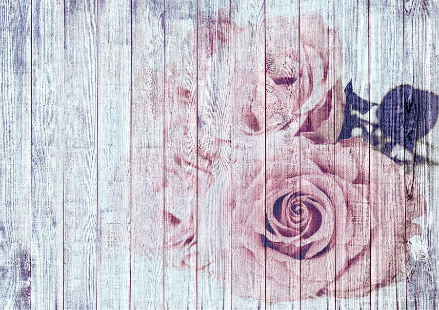 Vintage Shabby Chic Dusky Pink Roses On Blue Wood Effect