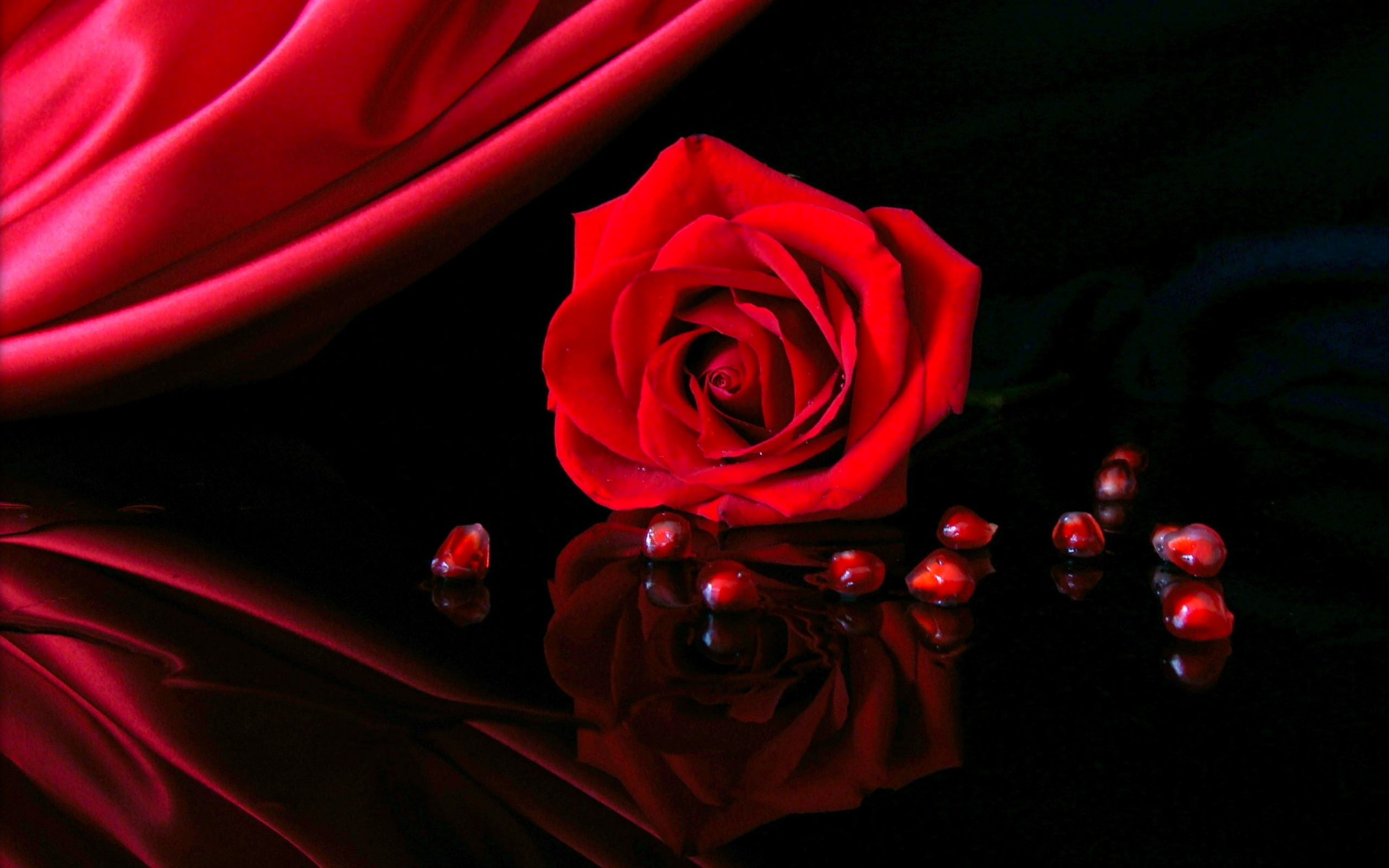 Roses Background Wallpaper Image Pictures