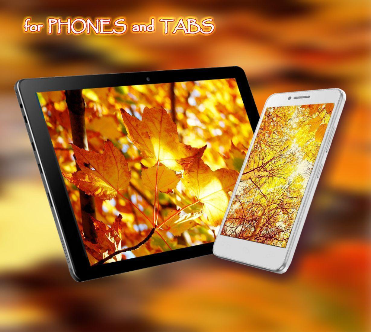 Autumn Music Live Wallpaper For Android Apk