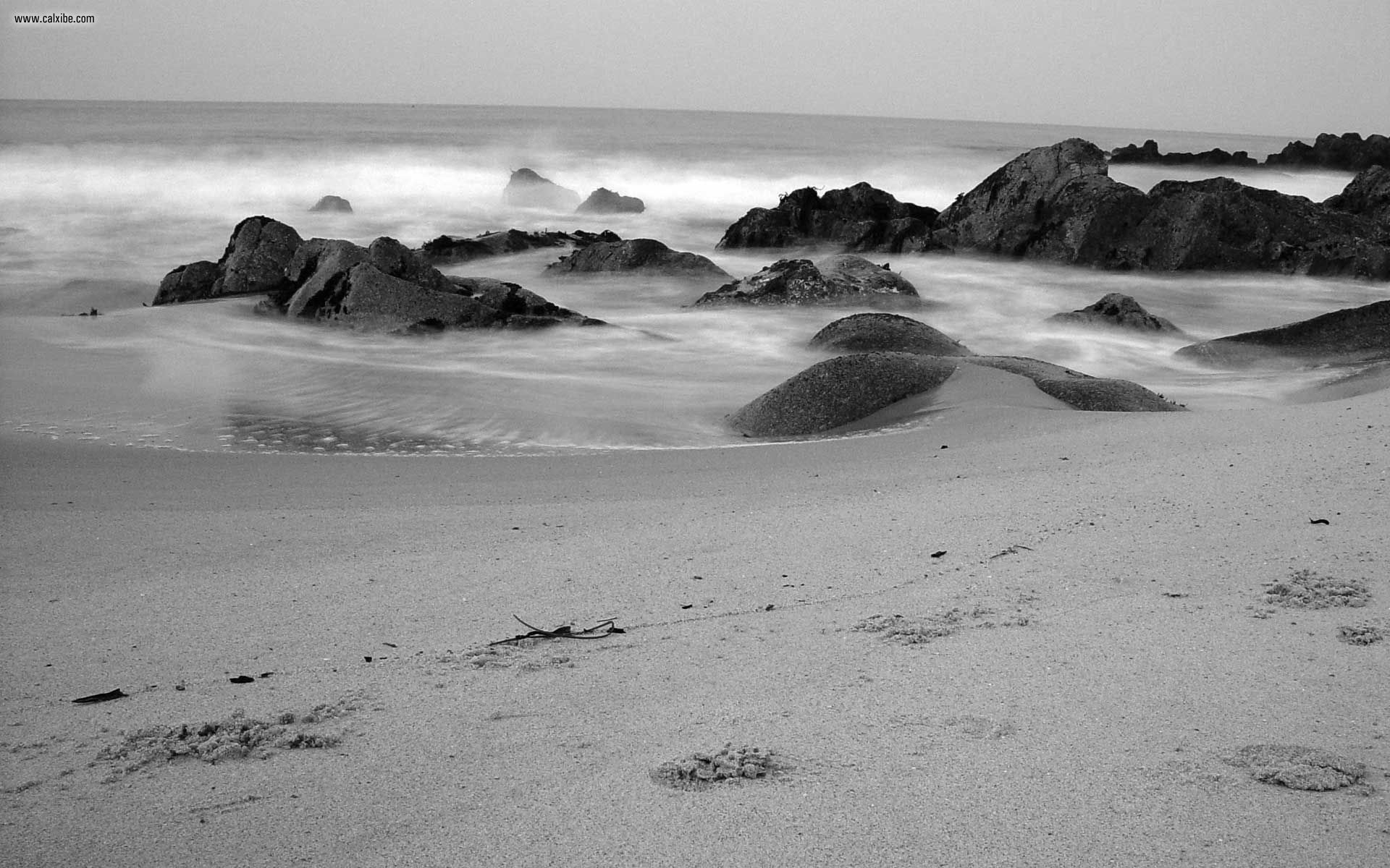 Nature Dark Beach Picture Nr
