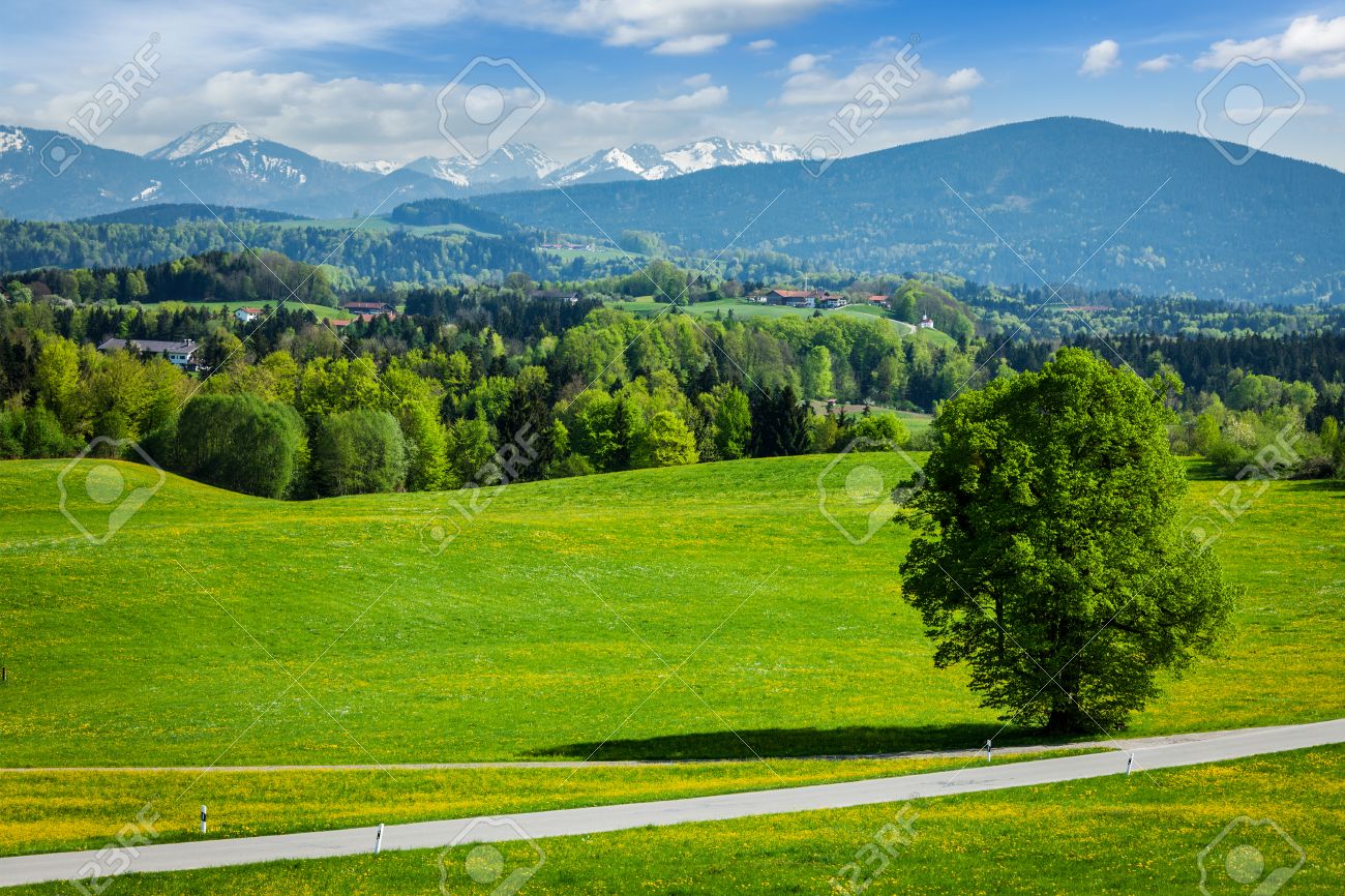 Road In Pastoral Idyllic German Countryside With Bavarian Alps