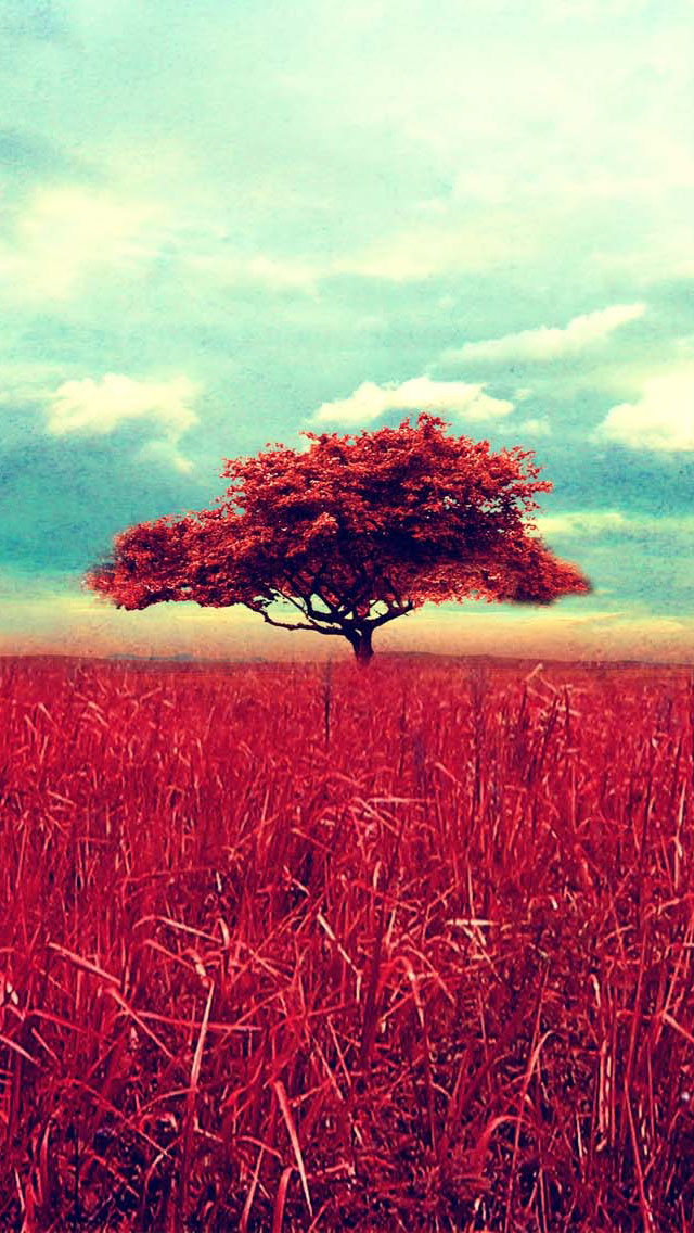 Red Tree Scene Wallpaper iPhone