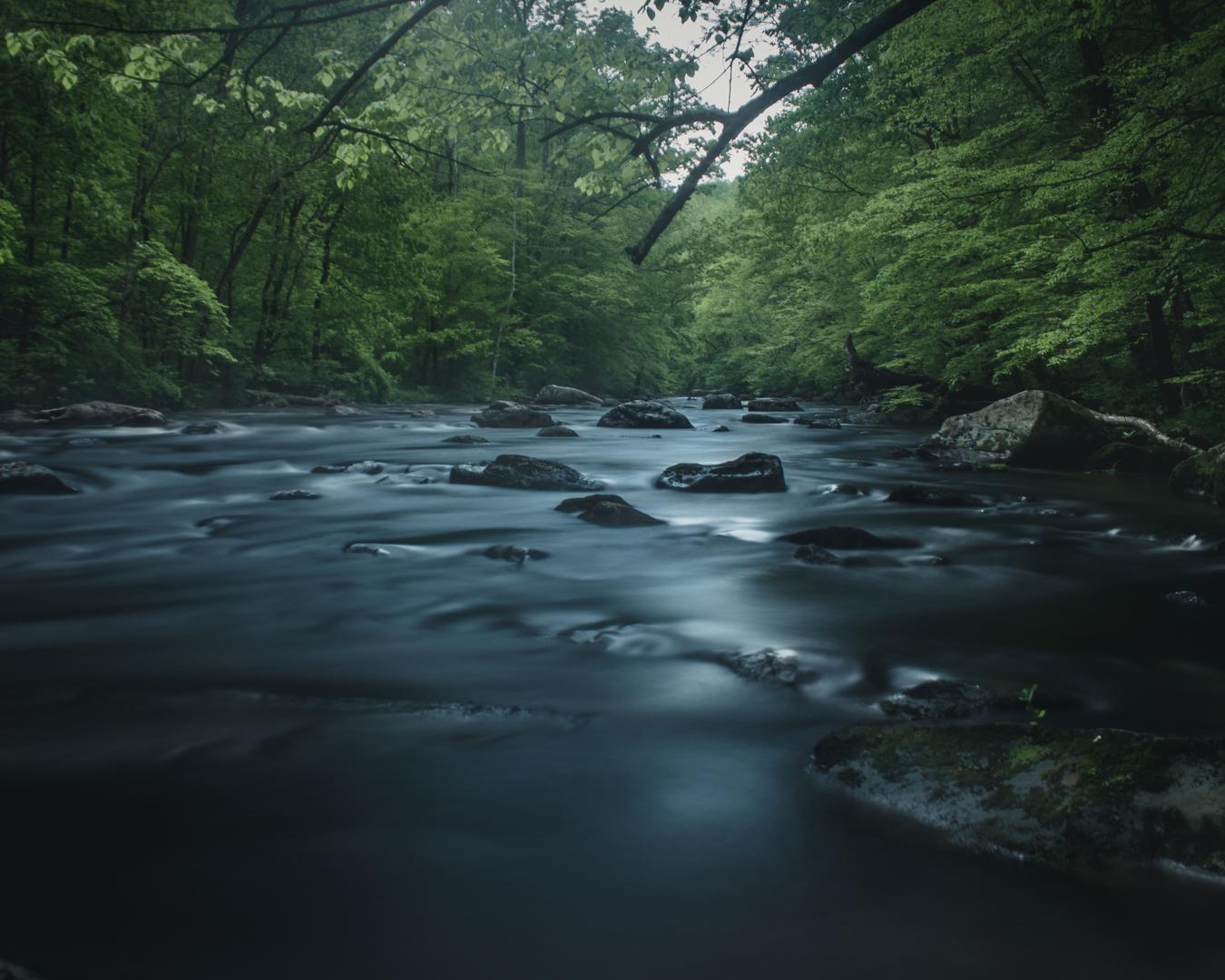 Voorhees State Park Wallpaperable Wallpaper