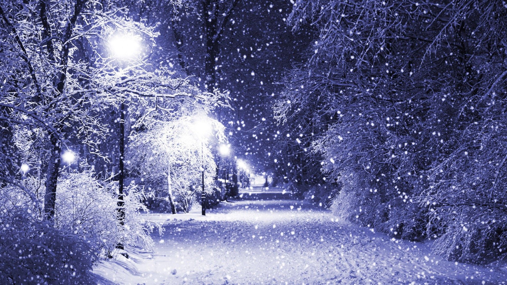 Snow Winter Street Lantern Night Tree Nature HD Wallpaper