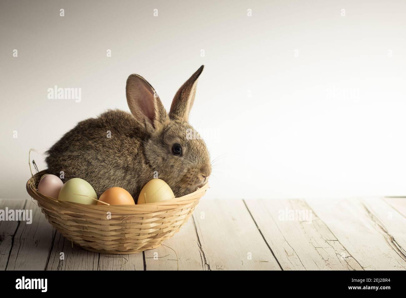 Cute Easter Bunny Nestled In A Basket With Colorful Eggs On White