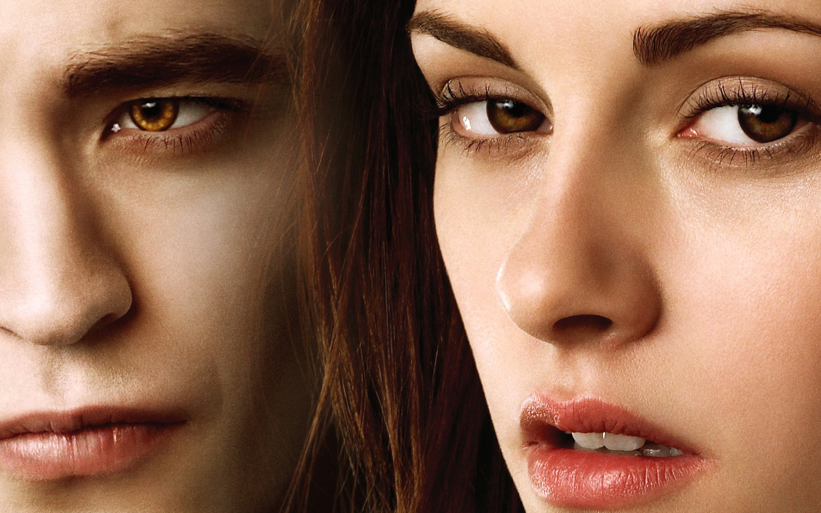 Fondos Saga Crepusculo The Twilight Wallpaper