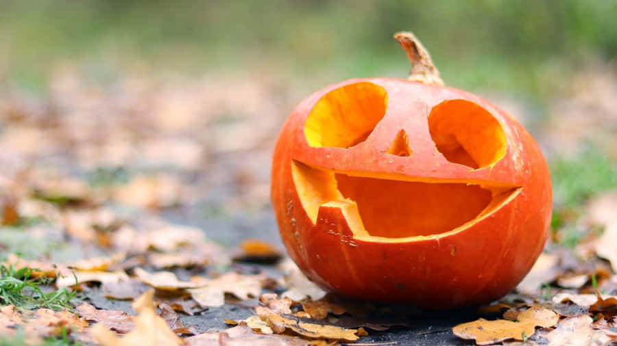 Cute Pumpkin Wallpaper