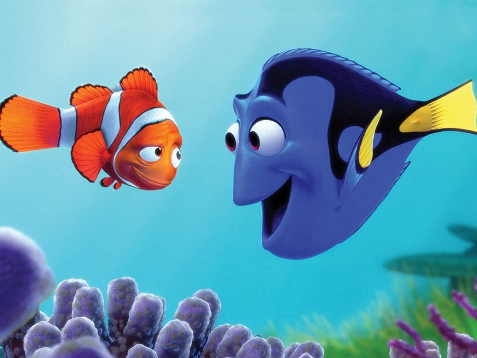 Tag Finding Nemo Wallpaper Background Photos Image And Pictures