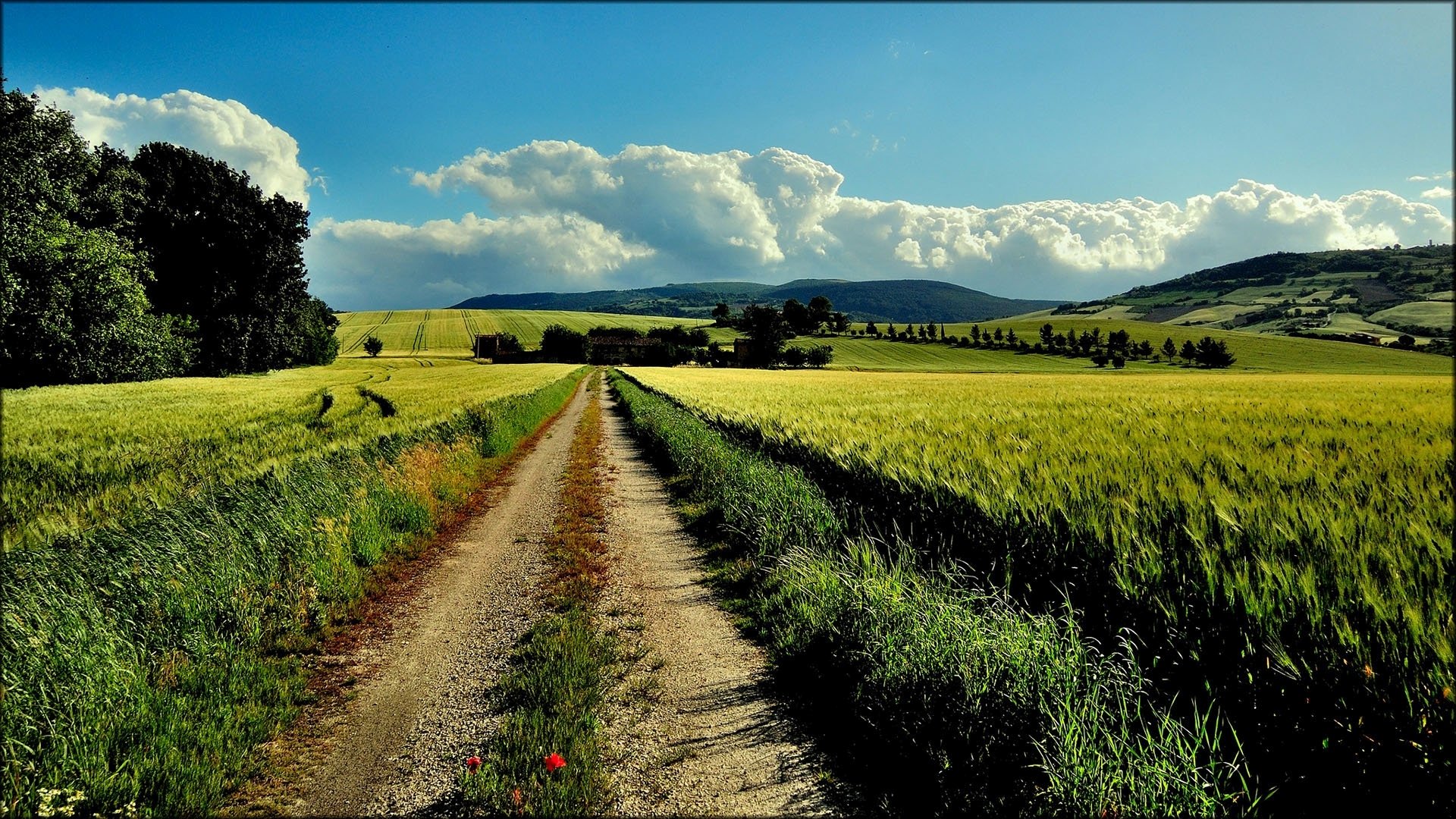 Free Download Country Road Wallpaper 29007 1920x1080 For Your Desktop 