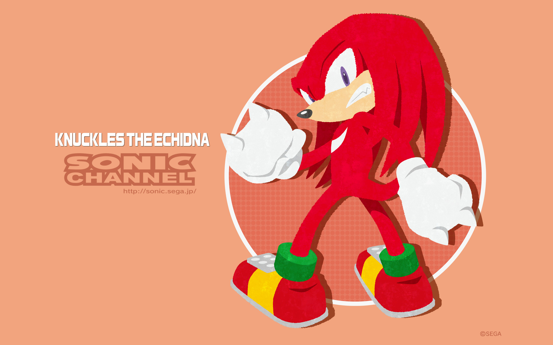 Knuckles The Echidna Wallpaper