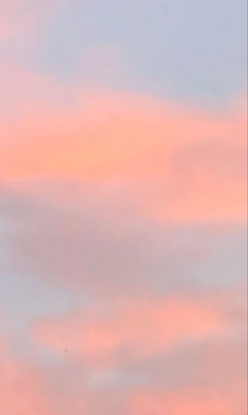 Peach Aesthetic Wallpaper