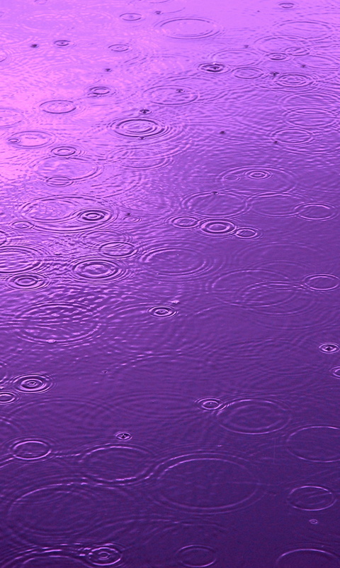 Purple Rain Pictures  Download Free Images on Unsplash