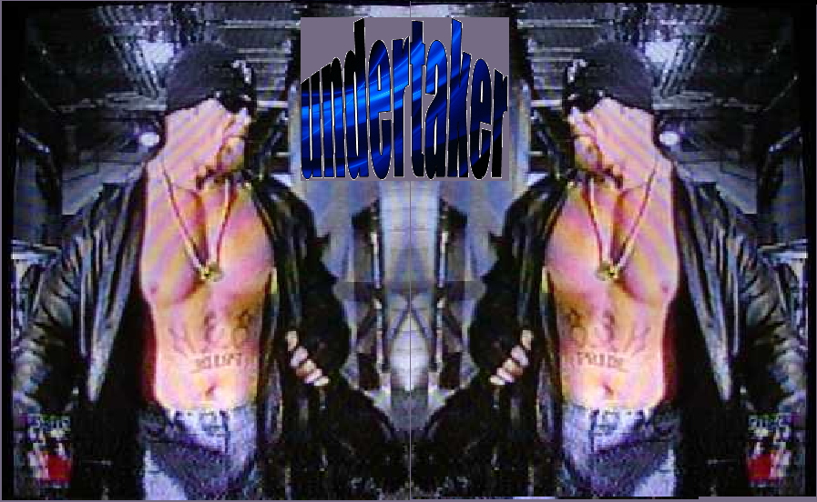 Undertaker Logo Wwe Bada By