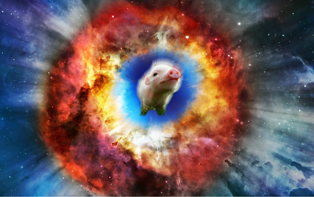Almighty Flying Supernova Pig Wallpaper