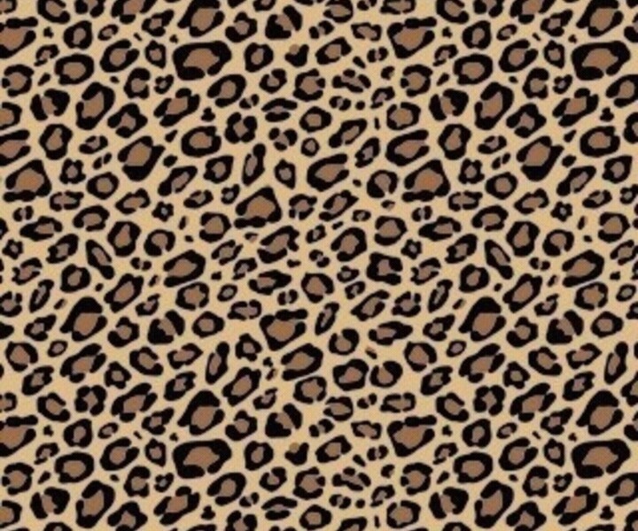 Free Download Leopard Print 720x600 For Your Desktop Mobile Tablet
