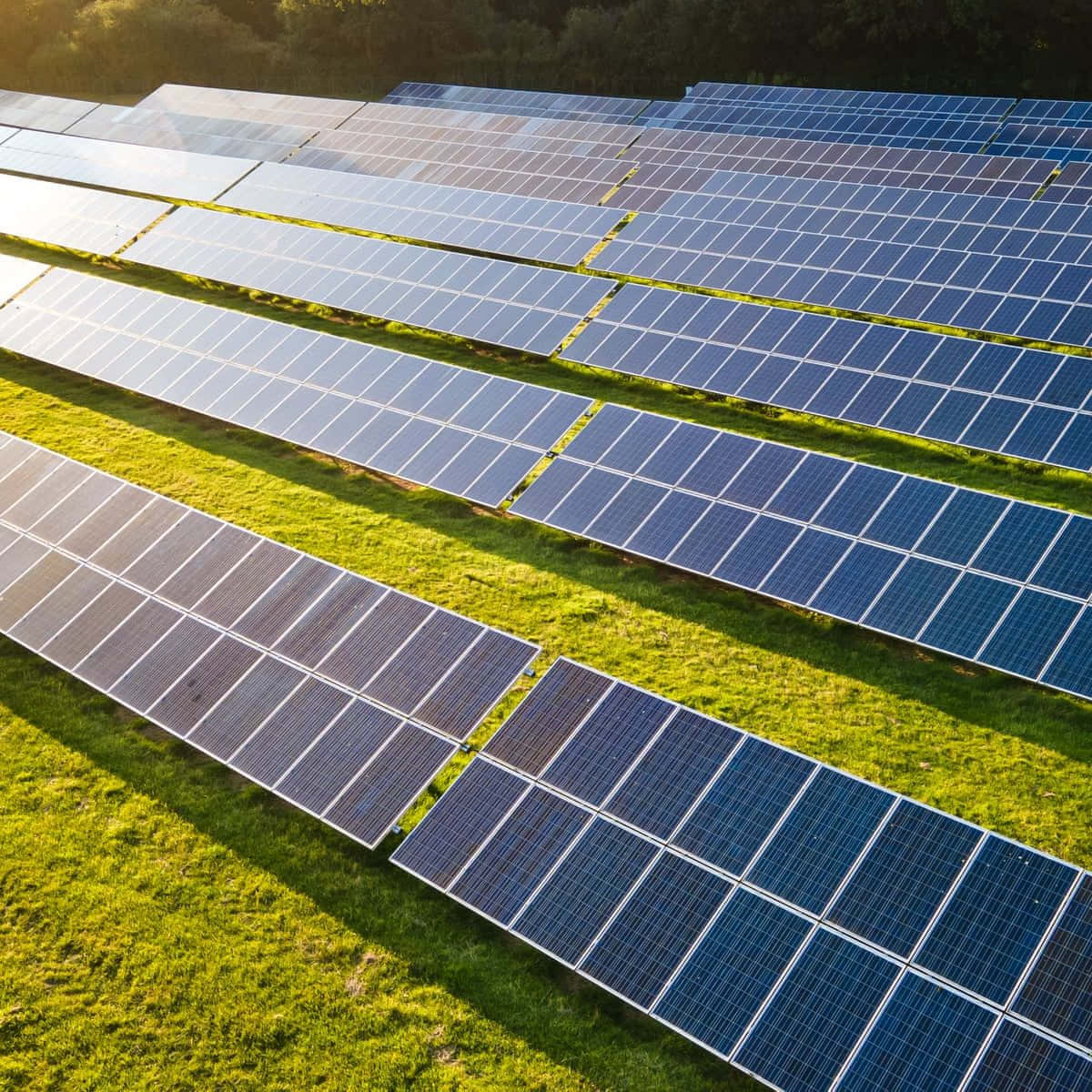 Renewable Energy Wallpaper
