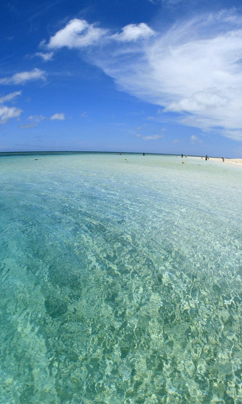 Download Wallpaper 480x800 gulf water transparent sand coast