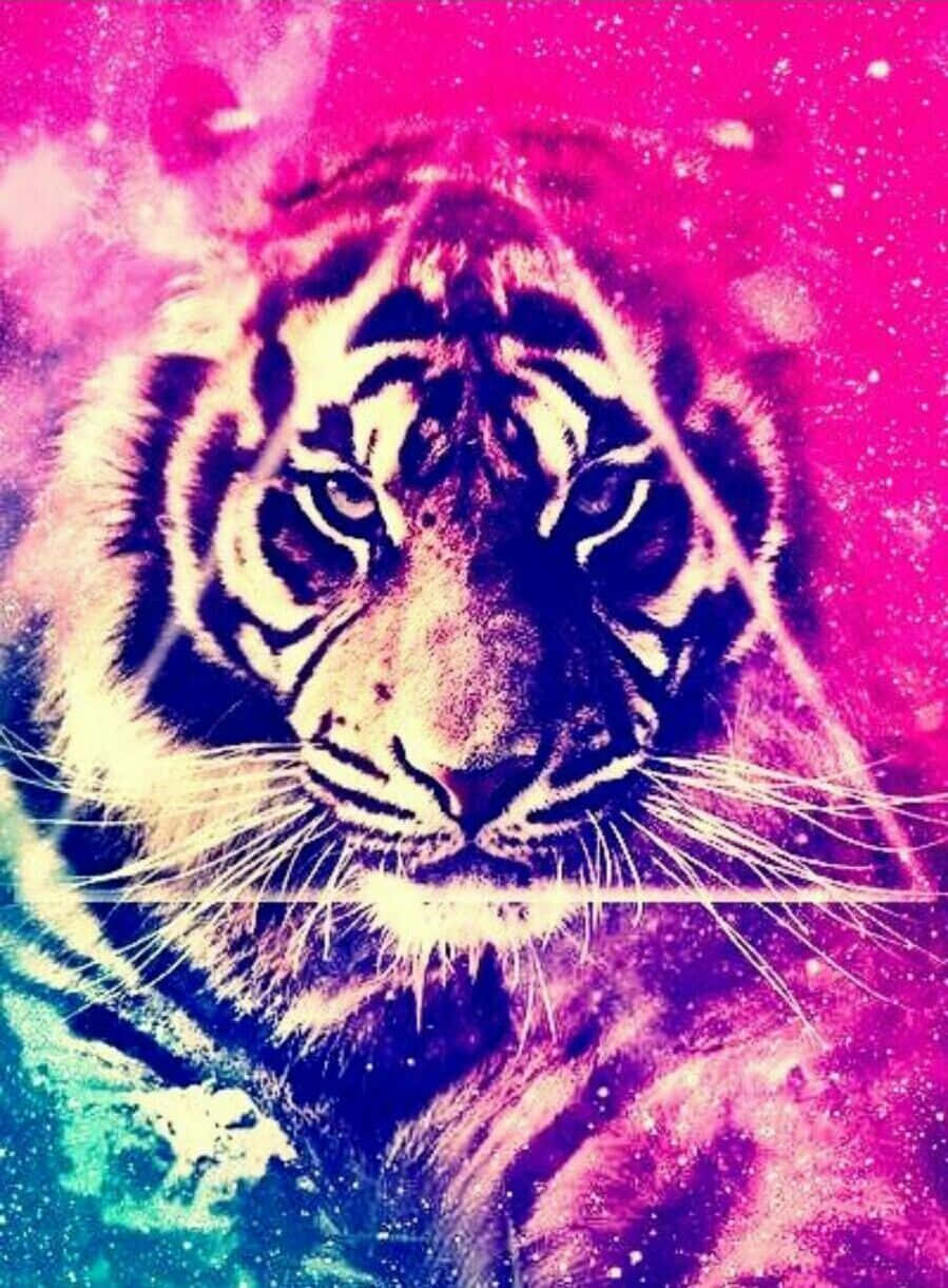 Cool Animal Galaxy Wallpaper