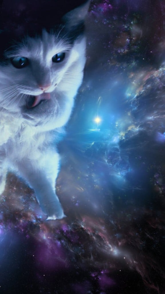 Cat In Space Iphone Wallpaper