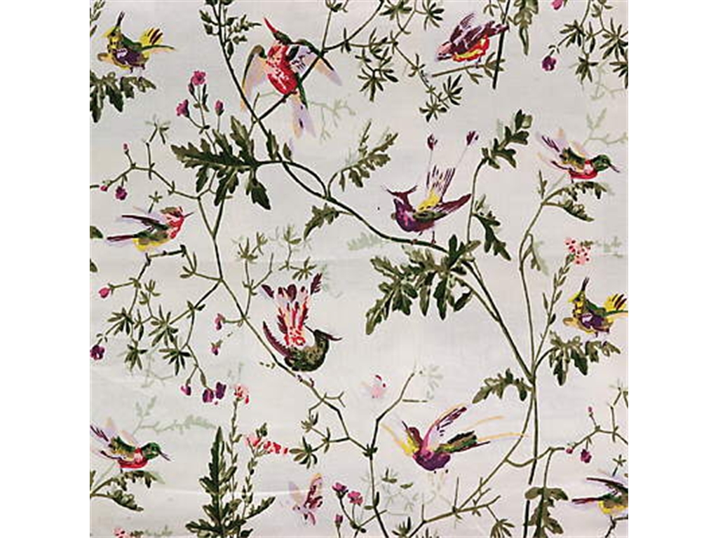 Cole And Son Hummingbirds Fabric