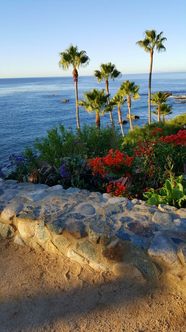 Heisler Park Laguna Beach Ca California Travel Scenery