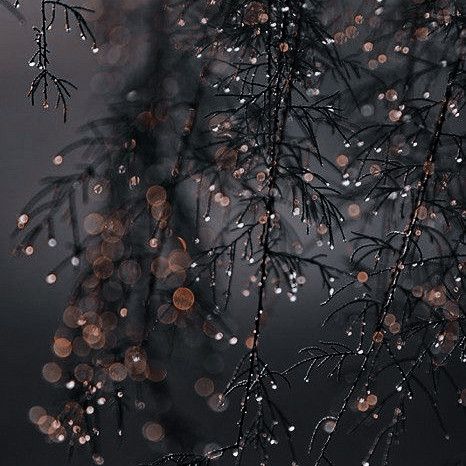 Cl Udia On For Instagram Wallpaper