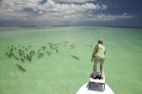 News For Florida Keys Flats Fishing Image Search Results