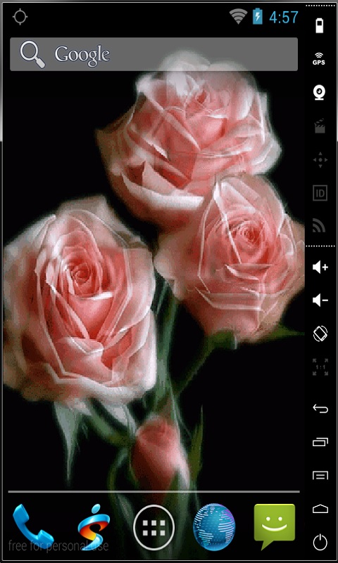 Blooming Pink Roses Live Wallpaper For Your Android