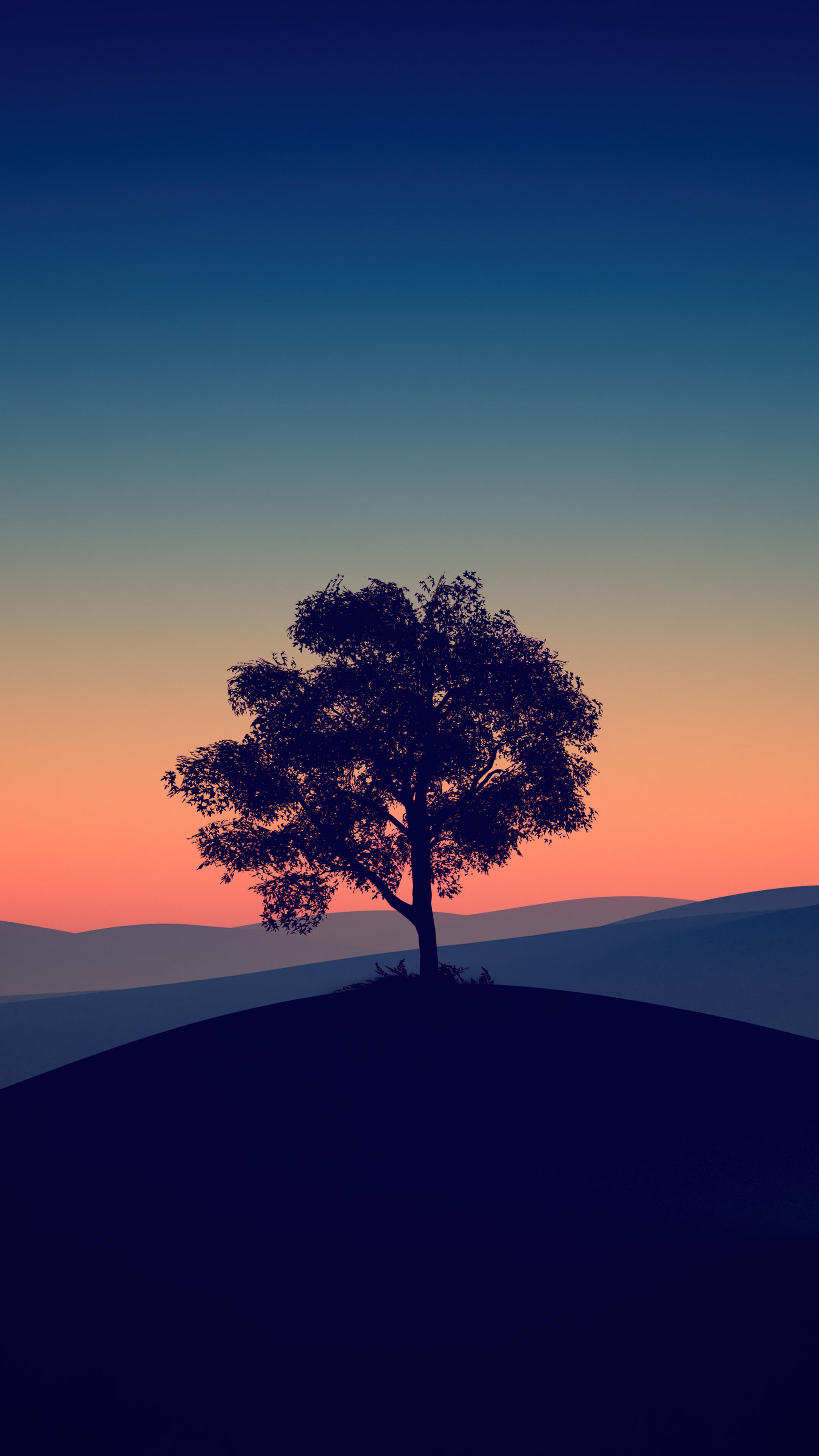 Sunset Dusk Crescent Moon Tree Scenery Wallpaper iPhone Phone 4k