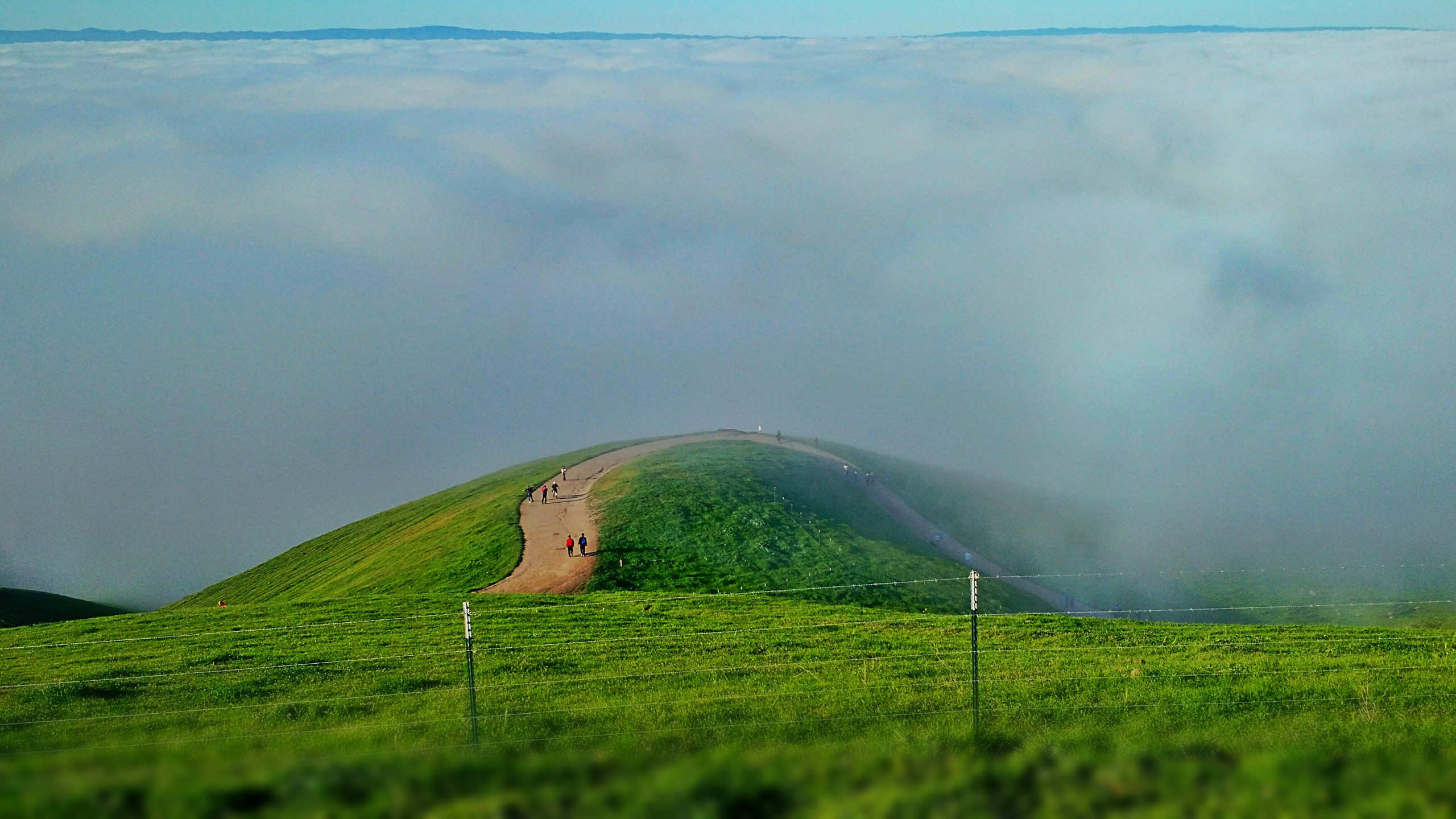 Botpost Bot Above The Clouds At Mission Peak Regional Preserve