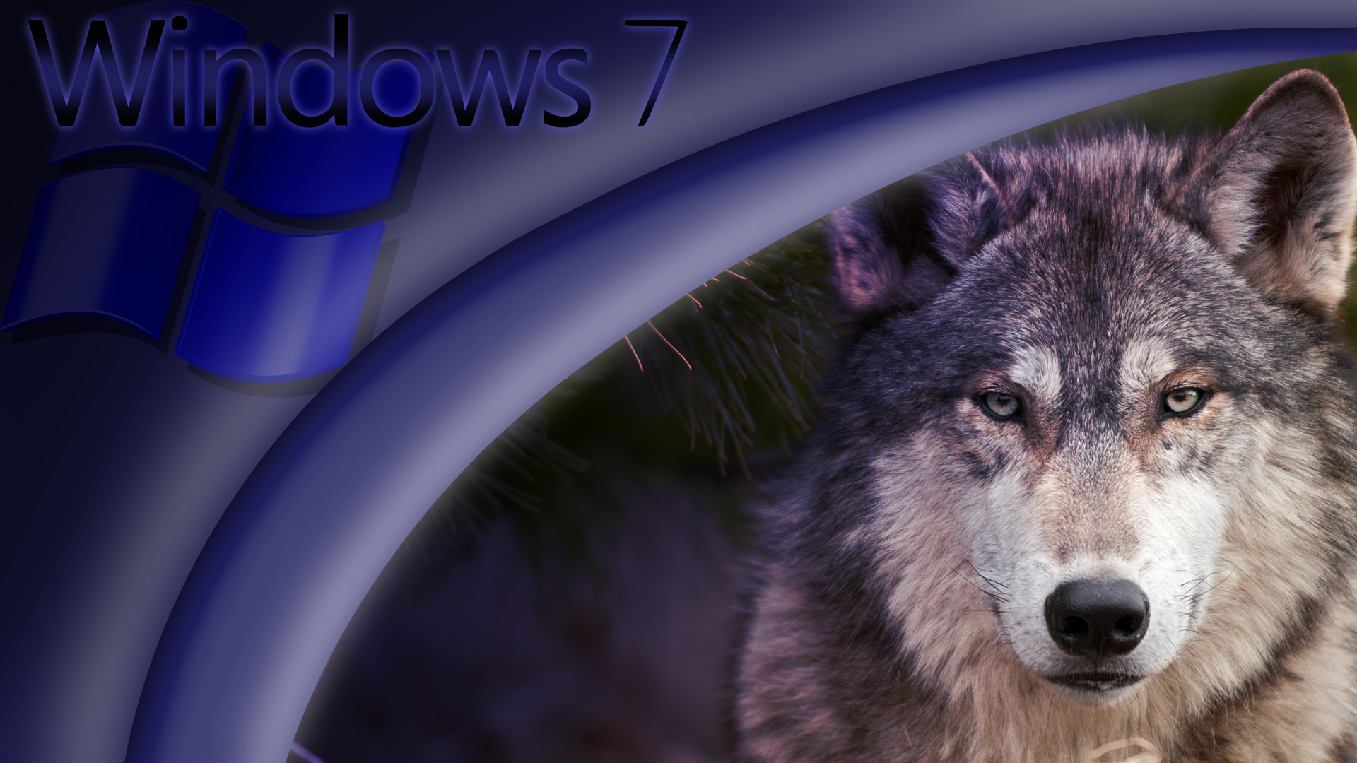 Windows 7 Wolf themed Wallpaper by FreezingIceKirby on