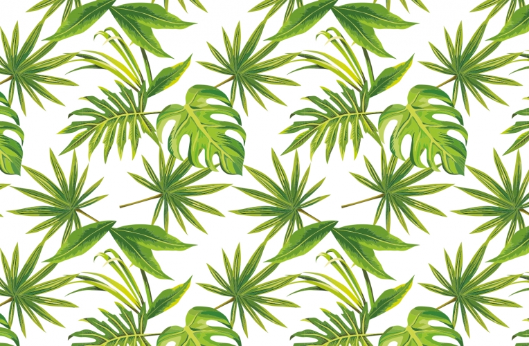 tropical leaves print wallpaper 764x500