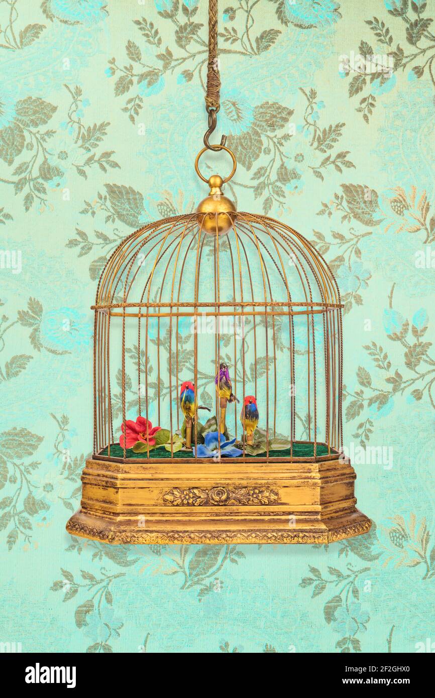 Vintage Hanging Birdcage With Old Figurine Birds In Front Of