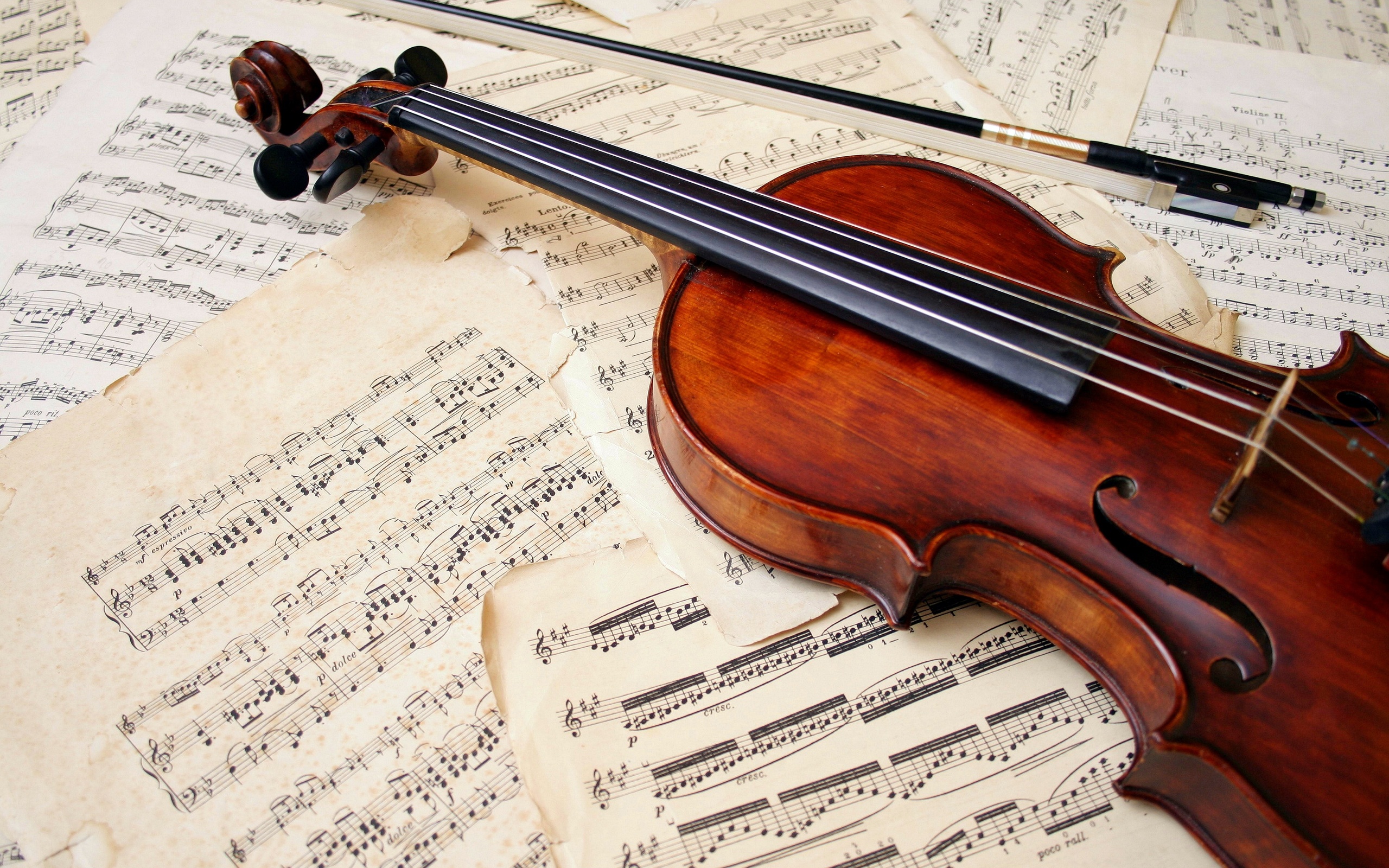 Violin HD Wallpaper Background Image