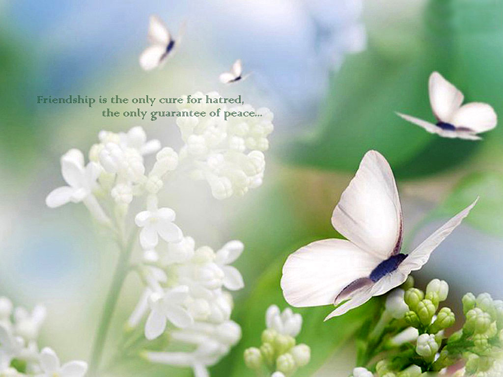 68+ Cute Quote Backgrounds on WallpaperSafari