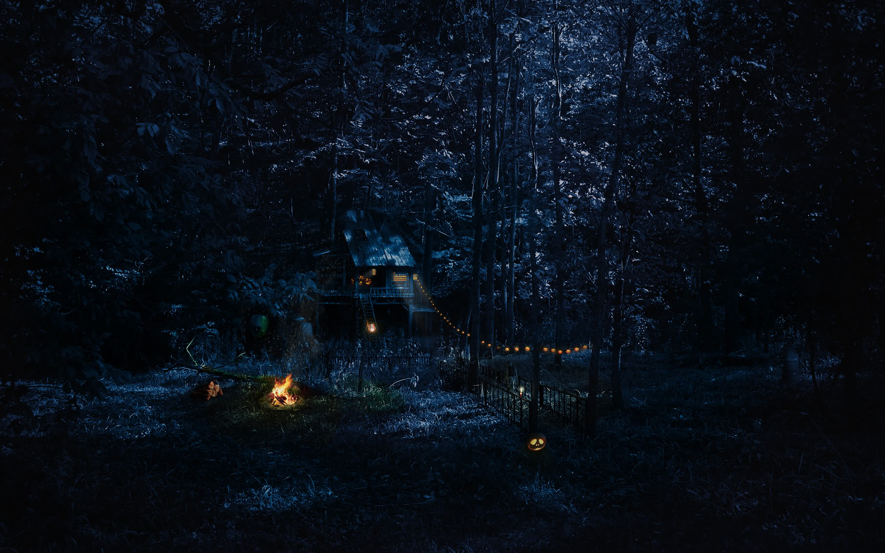 Dark Scary Creepy Pumpkins Trees Forest Fantasy Wallpaper Background