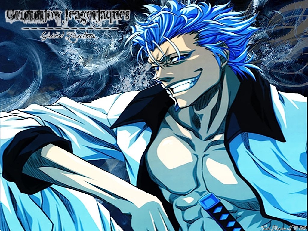 Grimmjow Jeagerjaques Image HD Wallpaper And Background