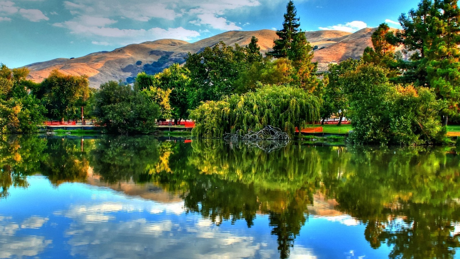 Lake Tree Reflection Photography Scenic HD Wallpaper