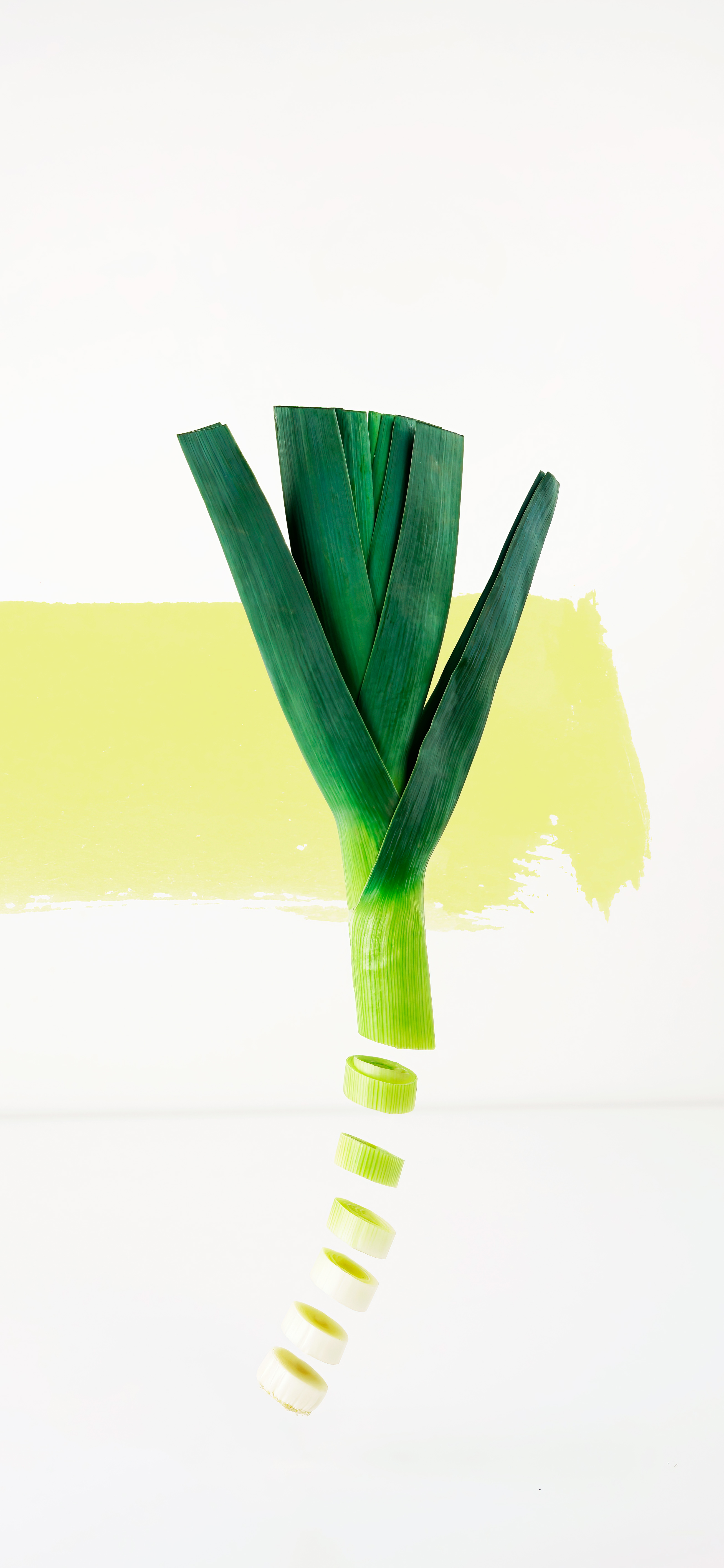 Cool Green Sliced Onions 4k Phone Wallpaper