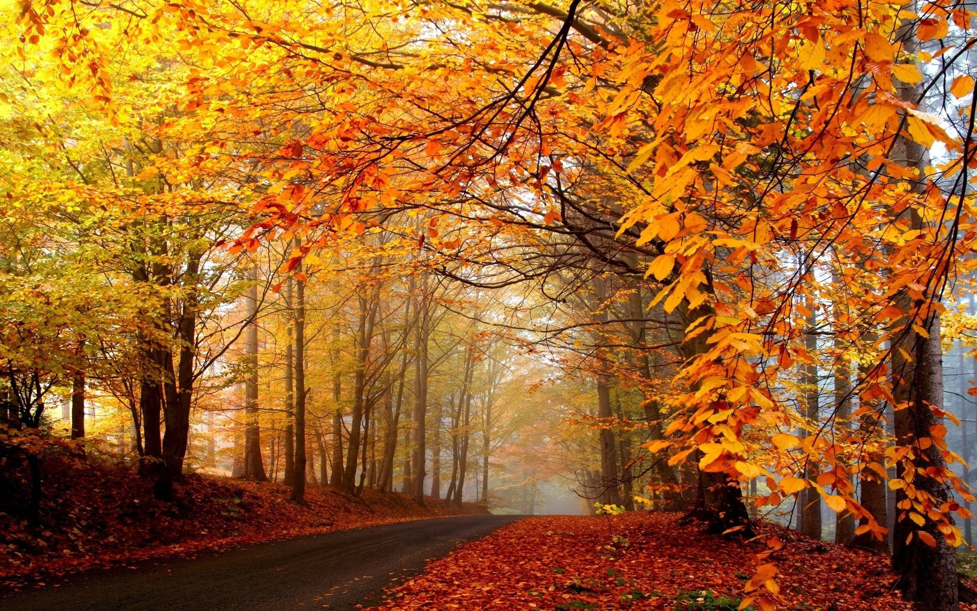 Autumn Scenery Wallpaper World