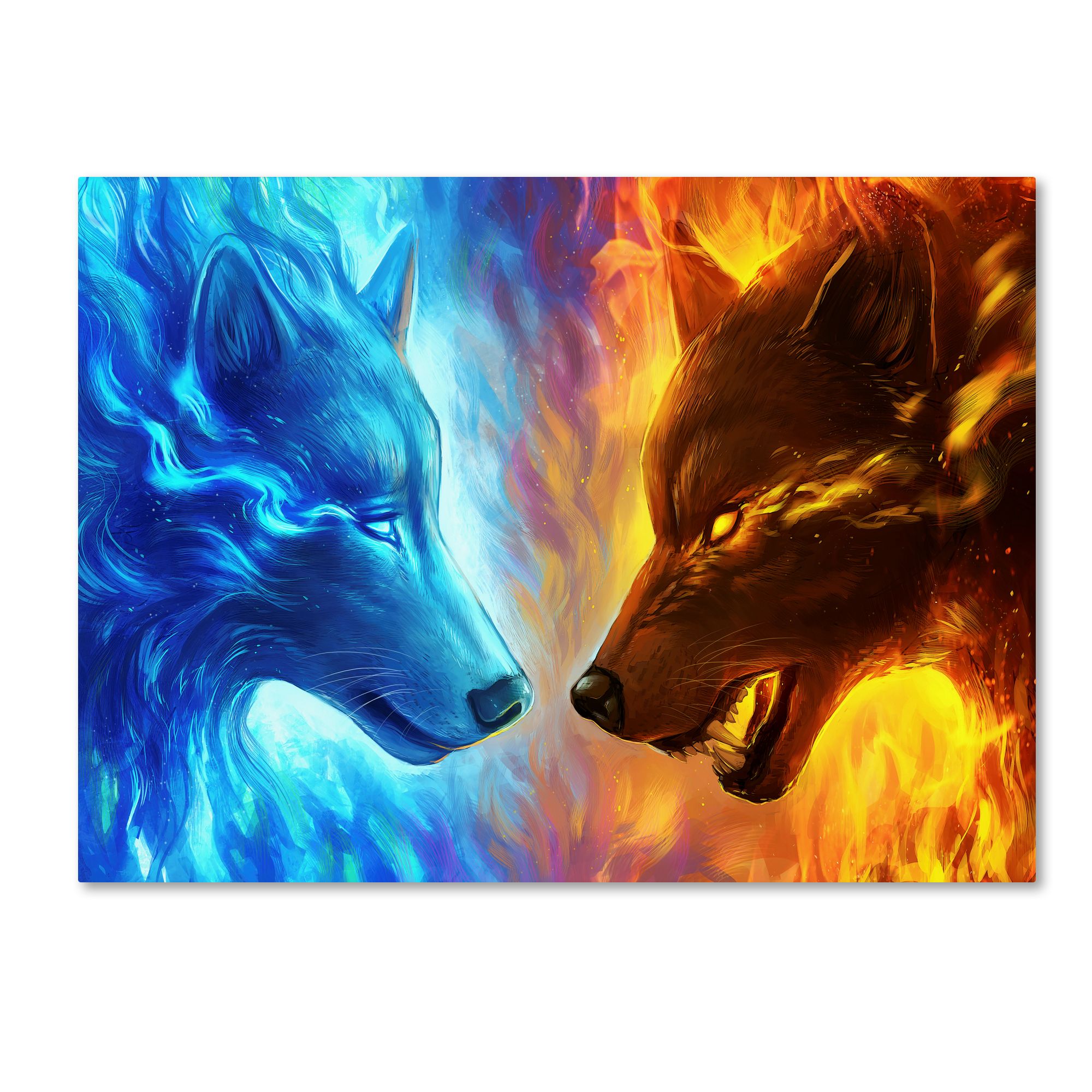 Trademark Fine Art Fire And Ice S By Jojoesart Wallpaper